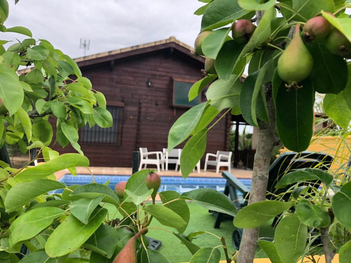 Villa Casa De Madera El Oasis El Palomar Siviglia Esterno foto